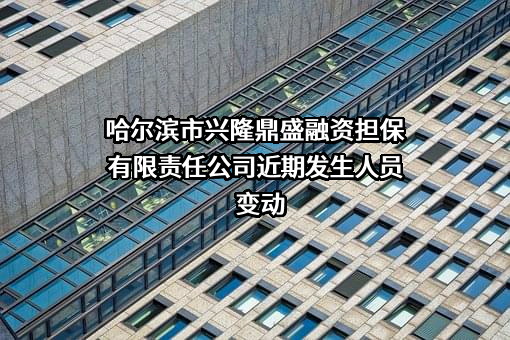 哈尔滨市兴隆鼎盛融资担保有限责任公司