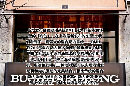 上海汽车集团股份有限公司