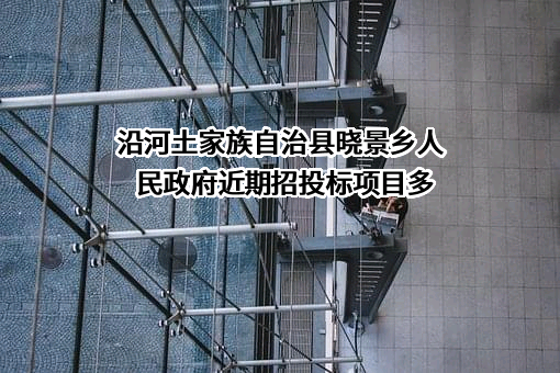 沿河土家族自治县晓景乡人民政府近期招投标项目多