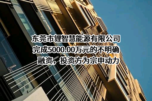 东莞市锂智慧能源有限公司
