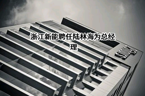 浙江省新能源投资集团股份有限公司