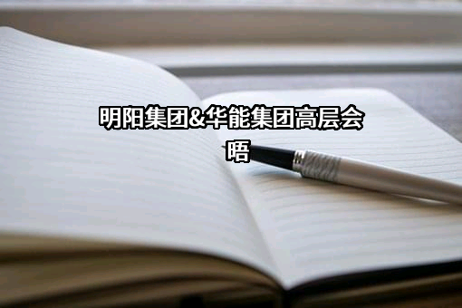 明阳新能源投资控股集团有限公司