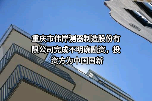 重庆市伟岸测器制造股份有限公司
