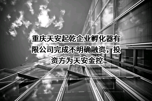 重庆天安起乾企业孵化器有限公司完成不明确融资，投资方为天安金控