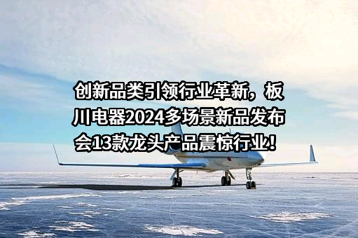 浙江板川控股有限公司