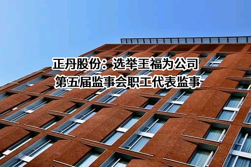 江苏正丹化学工业股份有限公司