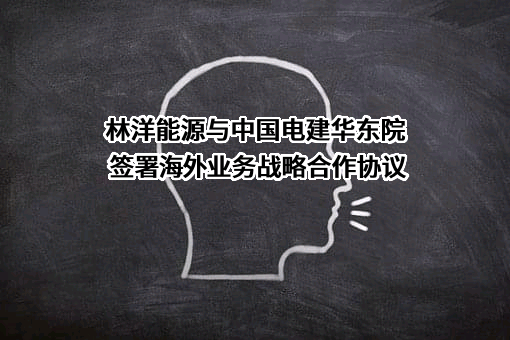 林洋能源与中国电建华东院签署海外业务战略合作协议