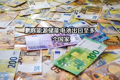 广州鹏辉能源科技股份有限公司