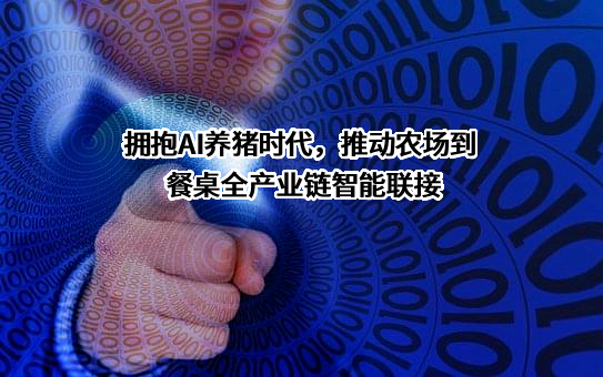 广州影子科技有限公司