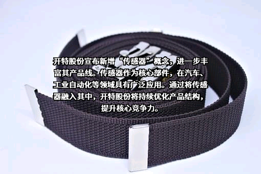 湖北开特汽车电子电器系统股份有限公司