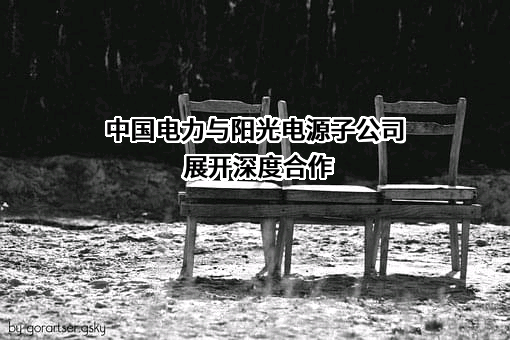 中国电力国际发展有限公司
