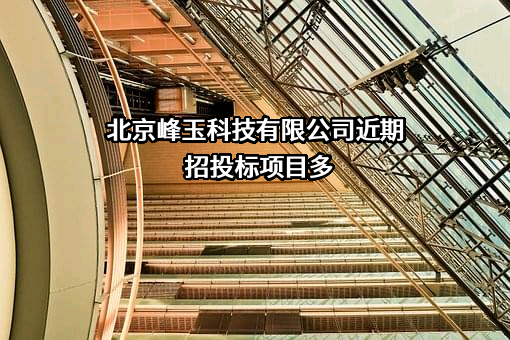 北京峰玉科技有限公司近期招投标项目多