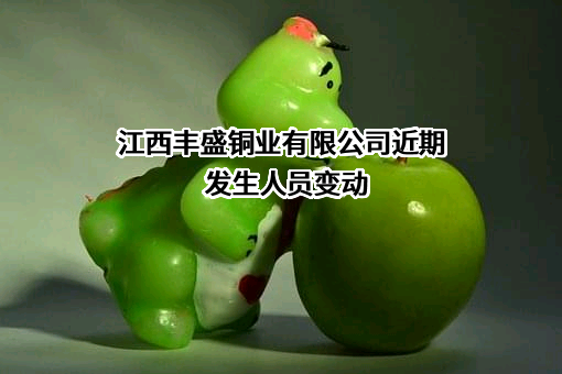 江西丰盛铜业有限公司