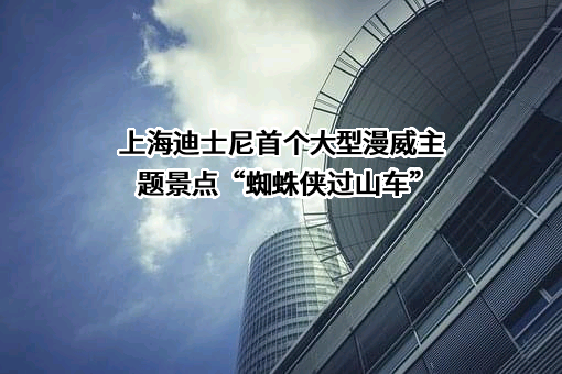 上海国际主题乐园有限公司