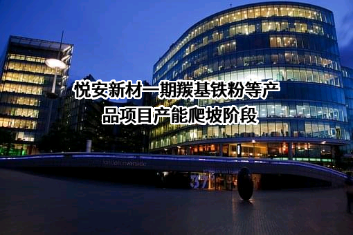 江西悦安新材料股份有限公司