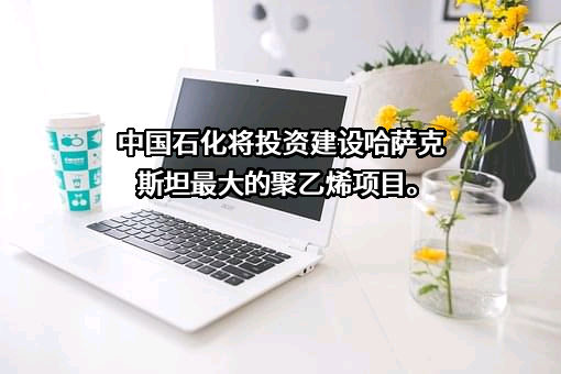 中国石油化工集团有限公司