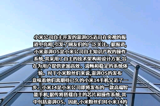 小米科技有限责任公司