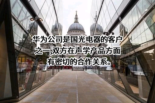 国光电器股份有限公司