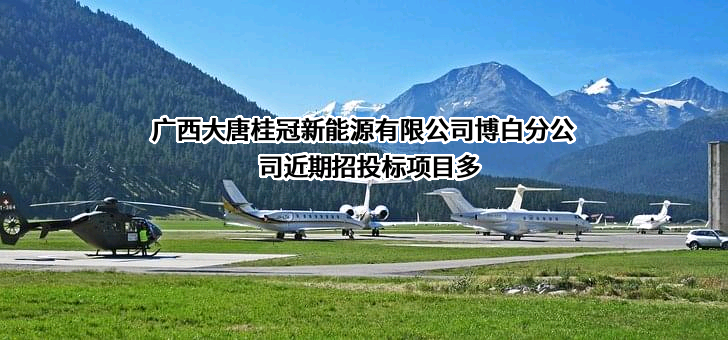 广西大唐桂冠新能源有限公司博白分公司