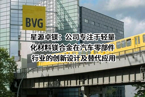 宁波星源卓镁技术股份有限公司