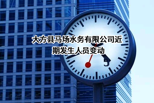 大方县马场水务有限公司