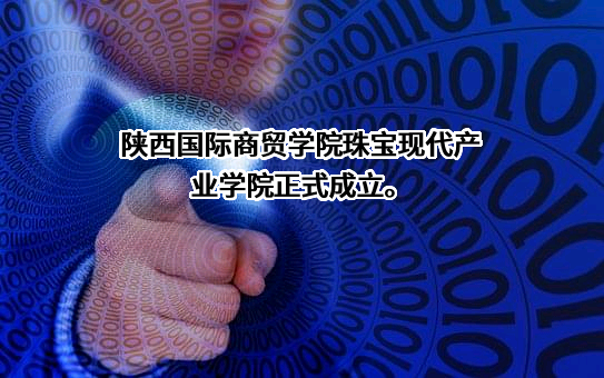 陕西国际商贸学院