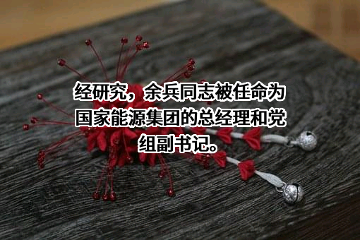 国家能源投资集团有限责任公司
