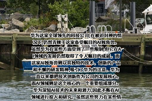 南京硅基智能科技有限公司
