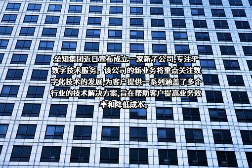 垒知控股集团股份有限公司