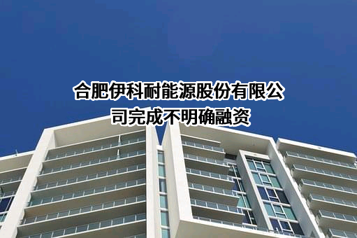 合肥伊科耐能源股份有限公司