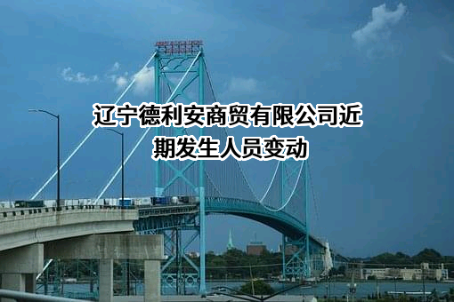 辽宁德利安商贸有限公司