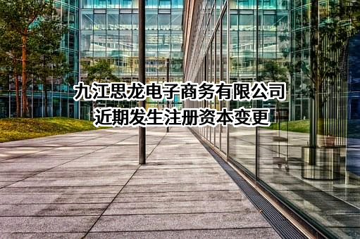 九江思龙电子商务有限公司