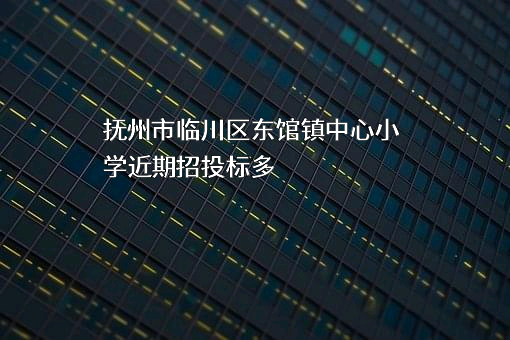 抚州市临川区东馆镇中心小学