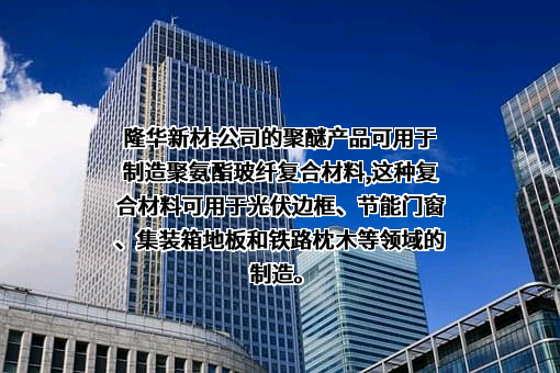 山东隆华新材料股份有限公司