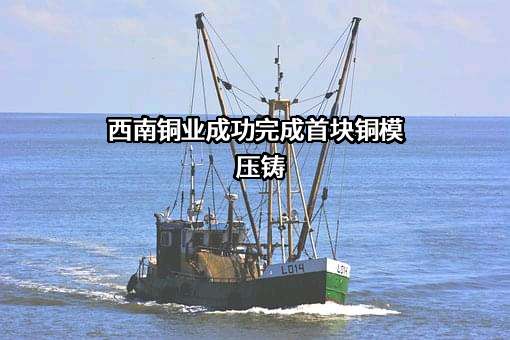 四川西南铜业有限公司