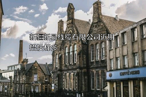 新疆新易线缆有限公司