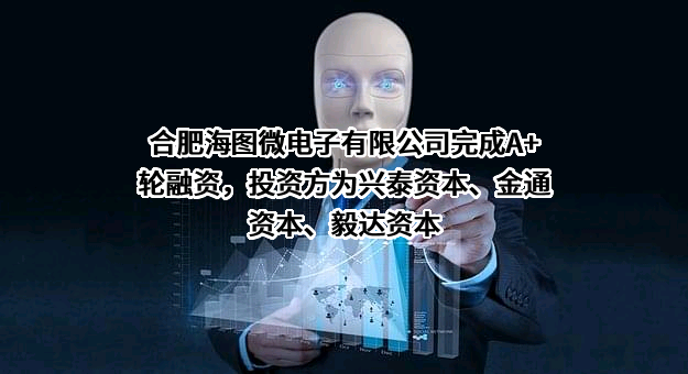 合肥海图微电子有限公司