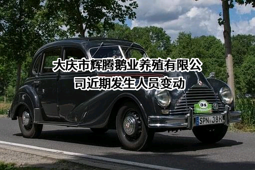大庆市辉腾鹅业养殖有限公司