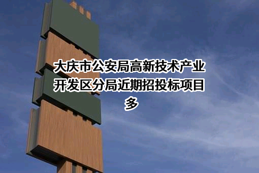 大庆市公安局高新技术产业开发区分局