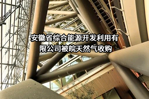 安徽省综合能源开发利用有限公司