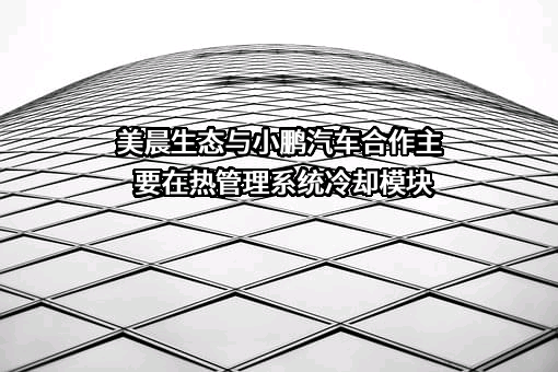 山东美晨生态环境股份有限公司