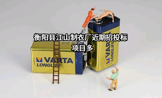 衡阳县江山制衣厂