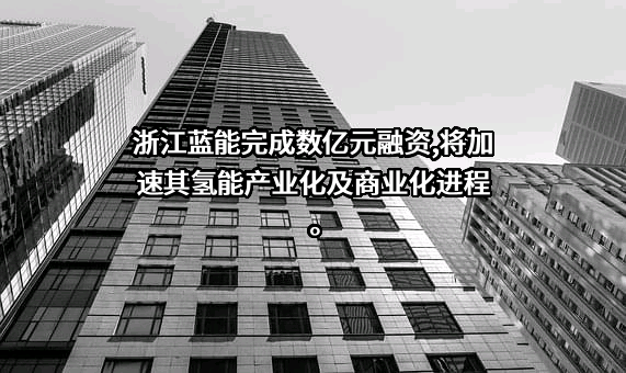 中国石化集团资本有限公司
