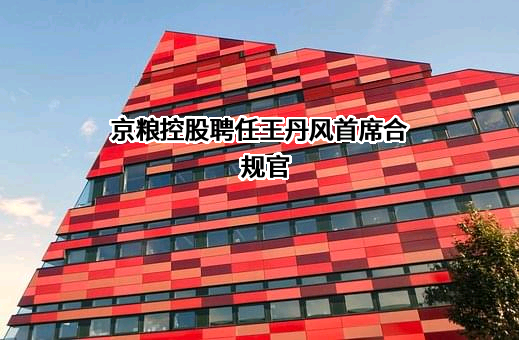海南京粮控股股份有限公司