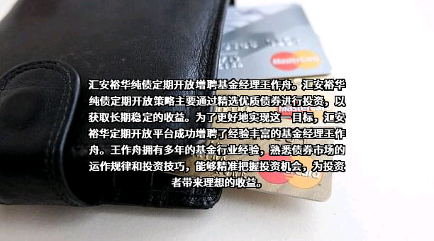 汇安基金管理有限责任公司