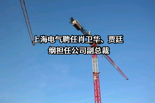 上海电气集团股份有限公司