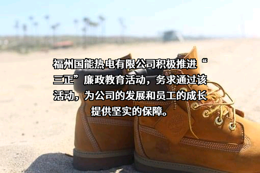 国能（福州）热电有限公司