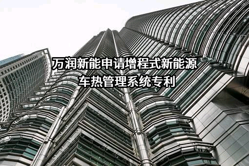 湖北万润新能源科技股份有限公司