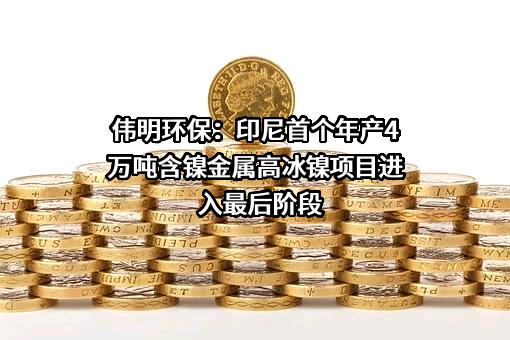 浙江伟明环保股份有限公司