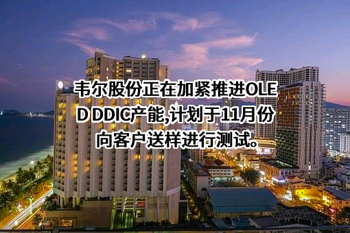 上海韦尔半导体股份有限公司